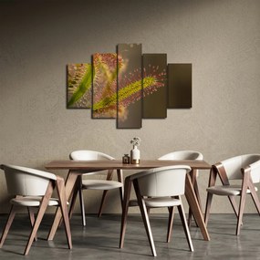 Tablou cu plantă (150x105 cm)