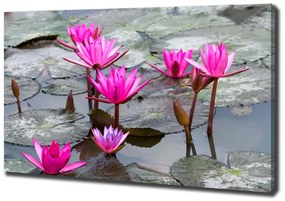 Print pe canvas Floare de lotus