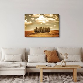 Tablou cu luncă (90x60 cm)