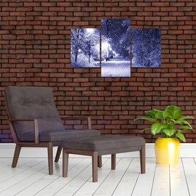 Tablou - Noaptea magică de iarnă (90x60 cm)