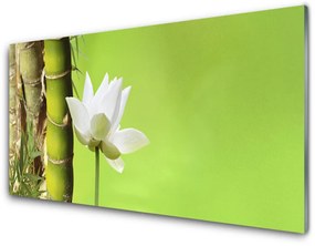 Tablouri acrilice Bamboo peduncul Floral Verde Alb