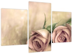 Tablou - Trandafiri fine (90x60 cm)