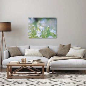 Tablou pe sticlă - Flori delicate (70x50 cm)