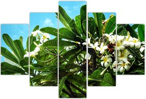 Tablou - Plumeria (150x105 cm)