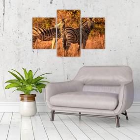 Tablou cu zebre (90x60 cm)