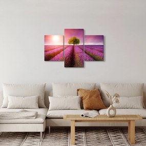 Tablou câmp cu lavandă (90x60 cm)