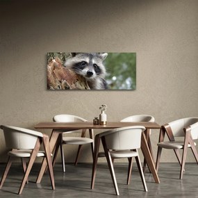 Tablou - Raton (120x50 cm)