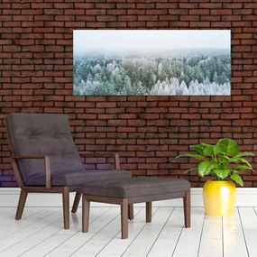 Tablou - Crestele munțillor înzăpezite (120x50 cm)