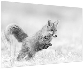 Tablou - Vulpe care sare,alb-negru (90x60 cm)