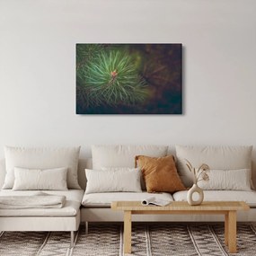 Tablou - Pin (90x60 cm)