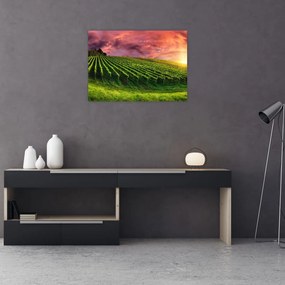 Tablou pe sticlă cu vie cu cerul color (70x50 cm)