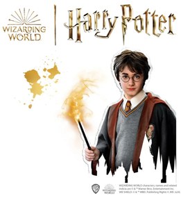 Harry Potter - Set creativ copii cu mulaj si pictura