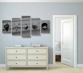 Tablou 5-piesei scoici pe o plajă cu nisip în design alb-negru