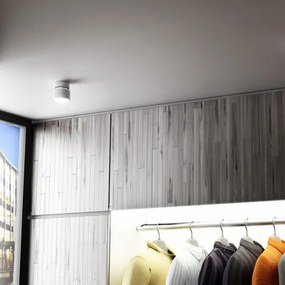 Plafonieră PIXIE 1xGX53/7W/230V RED-Design Rendl-R11770