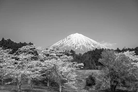 Fototapet autoadeziv muntele Fuji în alb-negru