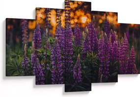 Tablou - Flori de lupin (150x105 cm)