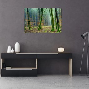 Tablou cu pădure (90x60 cm)