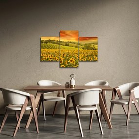 Tablou - Câmp de floarea-soarelui (90x60 cm)