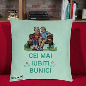 Cadou pentru Bunici - Perna Personalizata Cei Mai Iubiti Bunici Cuplu pe Banca Ilustratie, 40x40 cm, Verde Menta, Husa Detasabila, Perna Inclusa, BEKZ®