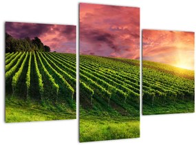 Tablou cu vie cu cerul color (90x60 cm)