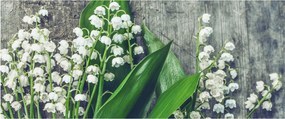 Tablou cu lăcrimioare (120x50 cm)