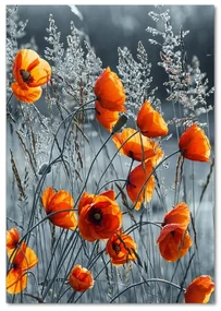 Imagine de sticlă wildflowers maci