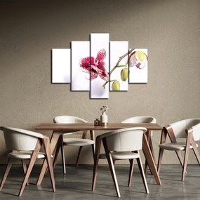 Tablou cu floarea de orhidee (150x105 cm)