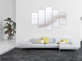 Tablou - Detalii pene (150x105 cm)