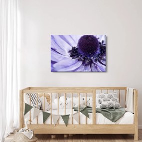 Tablou - Floare mov (90x60 cm)
