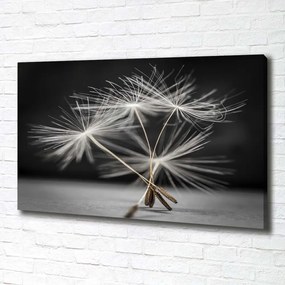 Print pe canvas Semințe de papadie