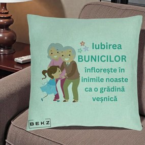 Cadou pentru Bunici - Perna Personalizata Bunicii Iubirea Infloreste cu Nepoata Teal, 40x40 cm, Verde Menta, Husa Detasabila, Perna Inclusa, BEKZ®