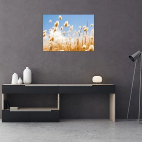 Tablou - Câmp de aur (70x50 cm)