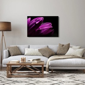 Tablou - Picătura de apă (90x60 cm)