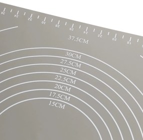 Blat din silicon Florina Anide