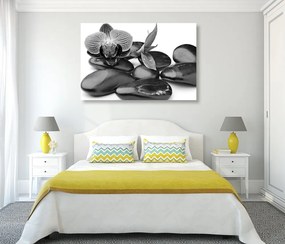 Tablou pietre wellness de masaj în design alb-negru