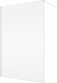 Paravan dus sticla walk-in 100x200 cm, alb, sticla 8 mm, Ronal Easy 1000x2000 mm, Alb