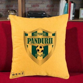 Perna Personalizata Pandurii Targu Jiu Fotbal, 40x40 cm, Galben, Husa Detasabila, Perna Inclusa, BEKZ®