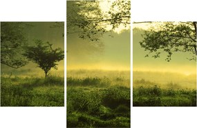Tablou - Pădurea trezită (90x60 cm)