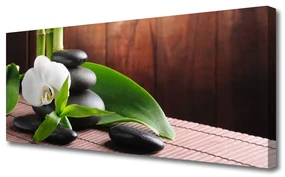 Tablou pe panza canvas Pietrele de flori Frunze Floral Alb Negru Verde