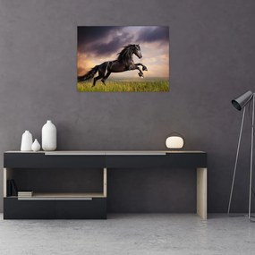 Tablou - Cai (70x50 cm)