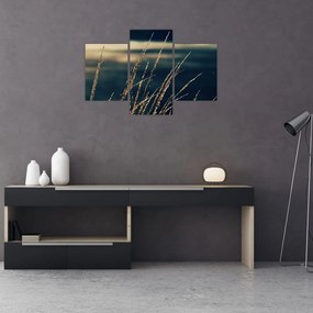 Tablou cu ierburi (90x60 cm)