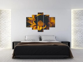 Tablou - Floarea-soarelui în fundal negru (150x105 cm)