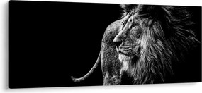 Tablou - Leu, alb și negru (120x50 cm)