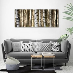 Print pe canvas Mesteceni