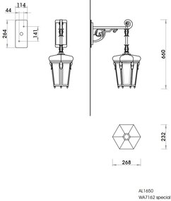Aplica iluminat exterior din fier forjat WL 3607