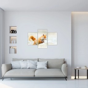 Tablou - Vulpe care sare (90x60 cm)