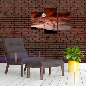 Tablou - Luna luminează noaptea (90x60 cm)