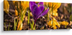 Tablou cu floare violetă (cu ceas) (90x30 cm)