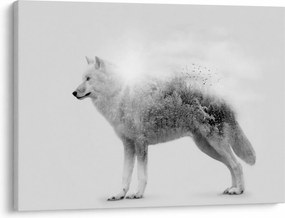 Tablou - Lupul arctic oglindit în peisajul sălbatic, alb-negru (70x50 cm)