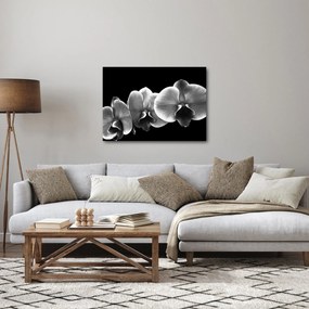 Tablou floare de orhidee (70x50 cm)